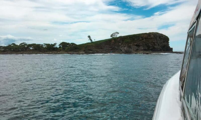 Mooloolaba: Snorkel with Turtles Mudjimba Island - Who Should Consider This Tour?