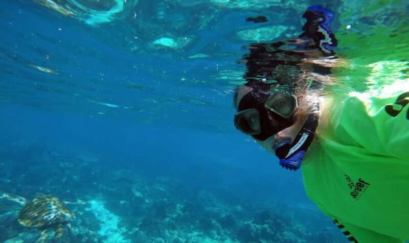 Mooloolaba: Snorkel with Turtles Mudjimba Island - Frequently Asked Questions