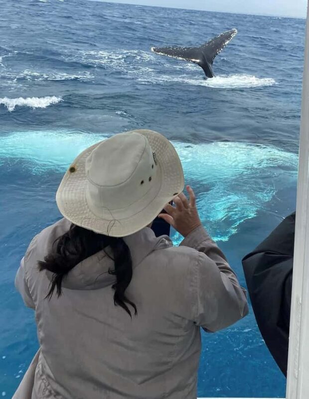 Mooloolaba: Whale Watching Cruise - FAQs about the Mooloolaba Whale Watching Cruise