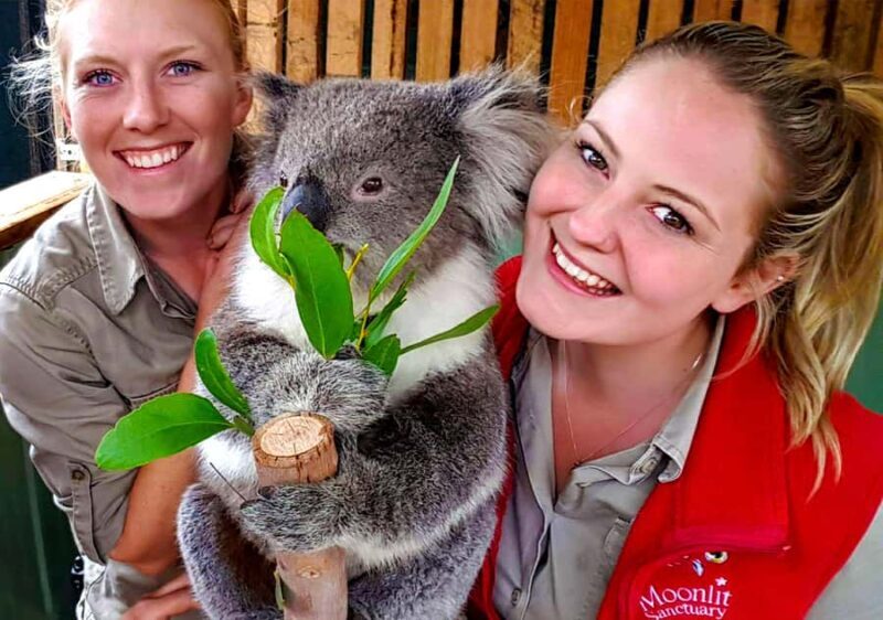 Moonlit Sanctuary Conservation Park Entry Ticket - The Itinerary in Detail