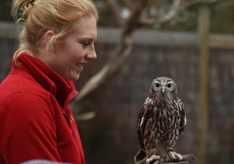 Moonlit Sanctuary Conservation Park Entry Ticket - FAQs