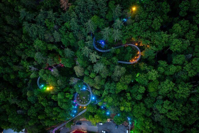 Moonshine Mountain Coaster Ride - An In-Depth Look at the Experience