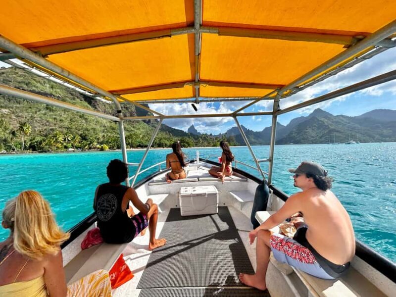 Moorea 4H Shared Boat Tour Whale Swimming and Snorkeling - Final Thoughts: Why Choose This Tour?