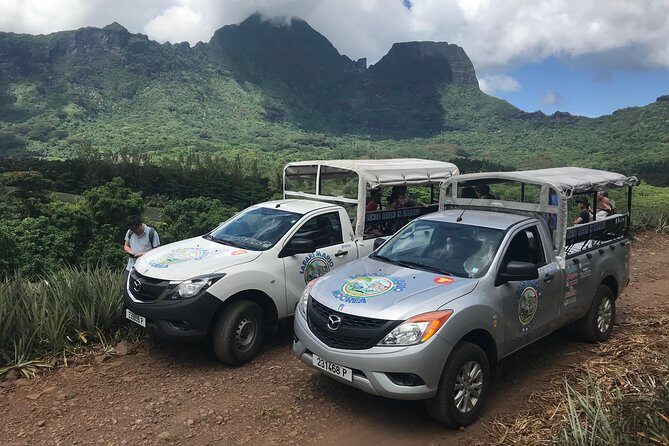 Moorea 4WD Tour Inc. Belvedere, Pineapple Farm, Magic Mountain... - An Authentic Introduction to Moorea