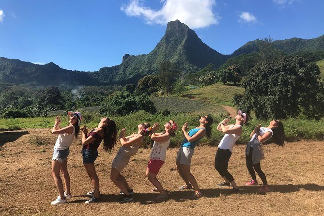 Moorea 4WD Tour Inc. Belvedere, Pineapple Farm, Magic Mountain... - Who Will Love This Tour?