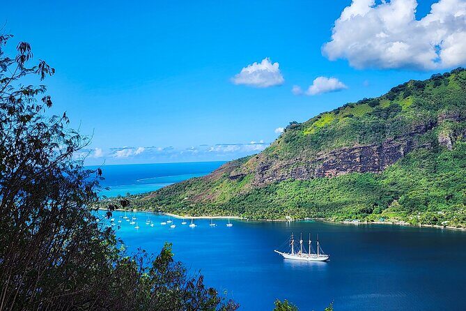 Moorea 4x4 Safari Adventure: Private Shore Tour From Cruise Port - Who Would Enjoy This Tour?