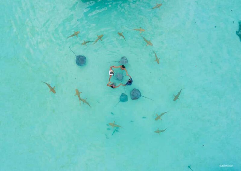 MOOREA 6H PRIVATE BOAT TOURS SNORKELING & LUNCH - The Booking Experience and Overall Value