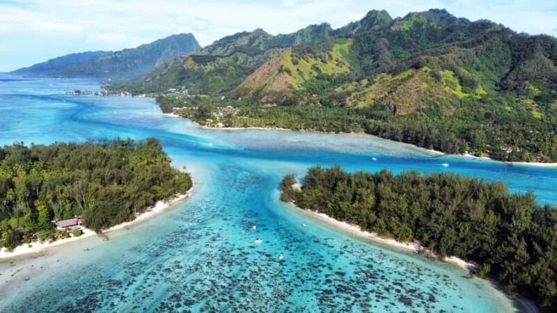 MOOREA 6H PRIVATE BOAT TOURS SNORKELING & LUNCH - Marine Wildlife Encounters: What You Can Expect