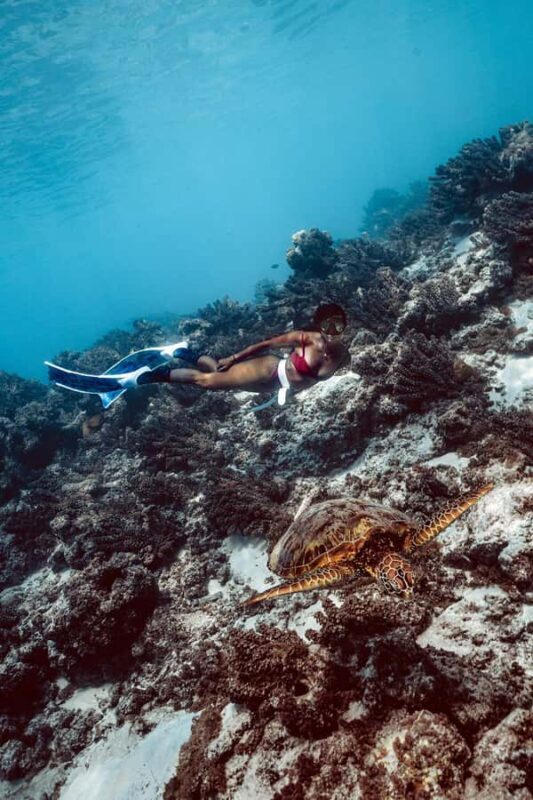 MOOREA 6H PRIVATE BOAT TOURS SNORKELING & LUNCH - Practical Tips for Making the Most of Your Day