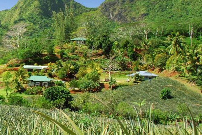 Moorea Aito 4WD Safari Tour - Half day - Final Thoughts