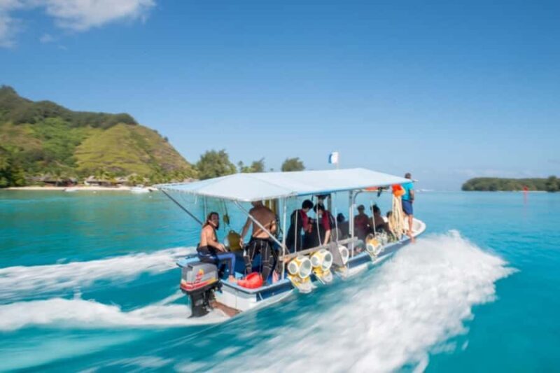 Moorea: Aquablue Helmet Underwater Walking Experience - Easy and Convenient Start