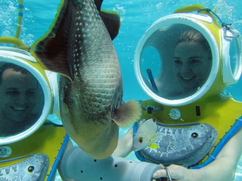 Moorea: Aquablue Helmet Underwater Walking Experience - Who Will Love This Tour?