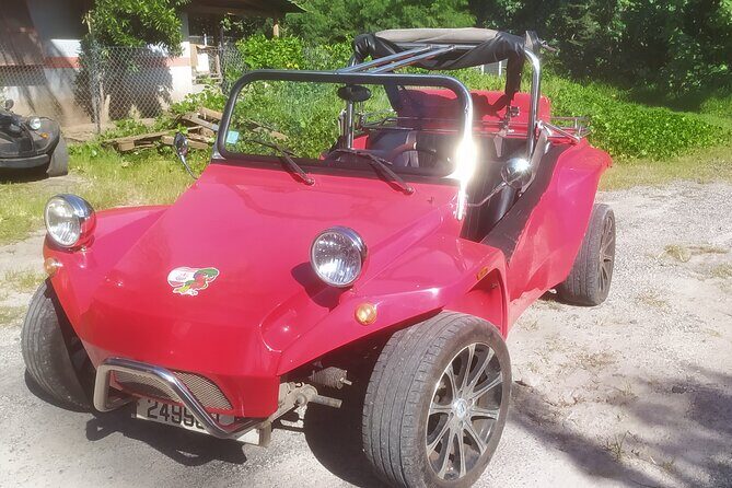 Moorea Buggy Rental - An In-Depth Look at the Moorea Buggy Rental Experience