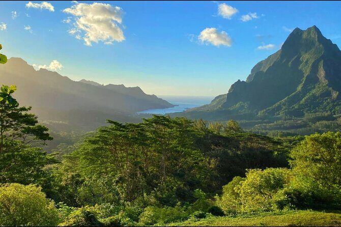 Moorea Cruise Ships: 4x4, Belvedere,Magic Mountain pineaple - What to Expect on the Tour
