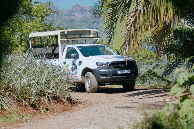 Moorea Cruise Ships: 4x4, Belvedere,Magic Mountain pineaple - Who Should Book This Tour?