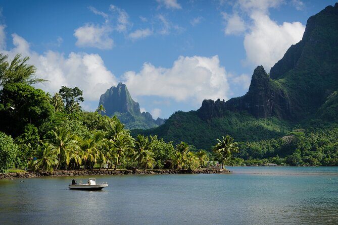 Moorea Full-Day Hiking Experience  Private Shore Tour - Final Thoughts