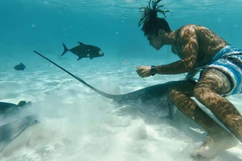 Moorea: Glass Bottom Boat Adventure with Lagoon Wonders - An Overview of the Experience