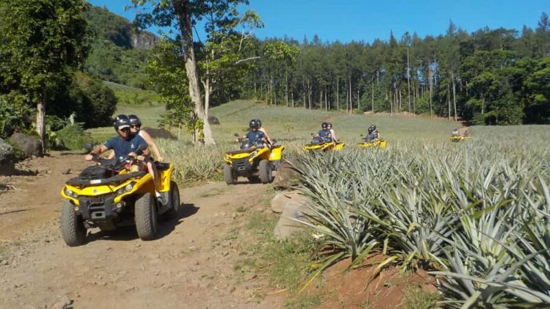 Mo'orea: Guided ATV Nature Tour - Key Points