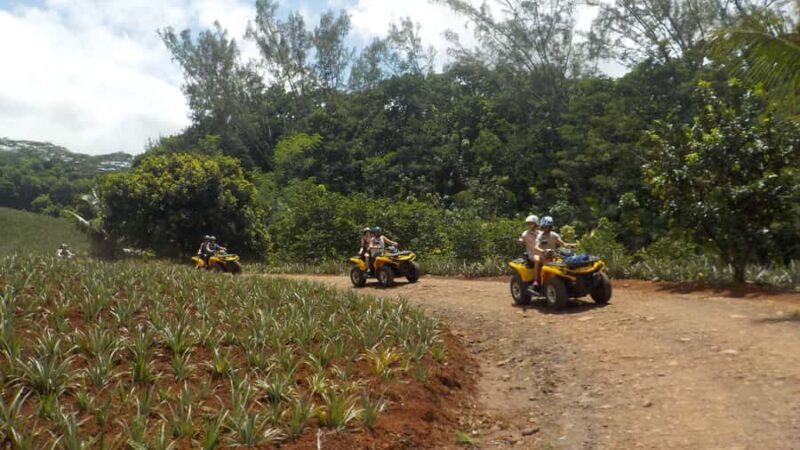 Mo'orea: Guided ATV Nature Tour - An Adventure into the Heart of Moorea