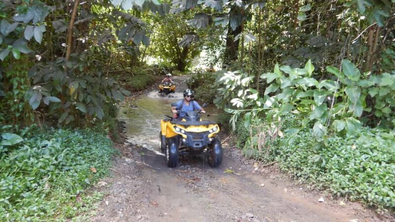 Mo'orea: Guided ATV Nature Tour - The Experience in Detail