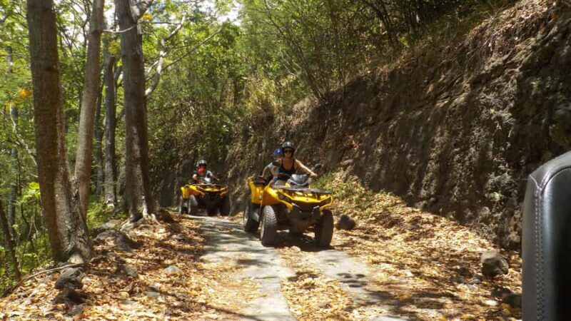 Mo'orea: Guided ATV Nature Tour - Authentic Insights from Reviews
