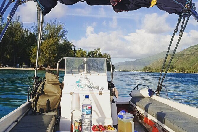 Mo'orea Half Day Private Tour with Snorkeling and Cruising the Lagoon - An Honest Look at the Experience