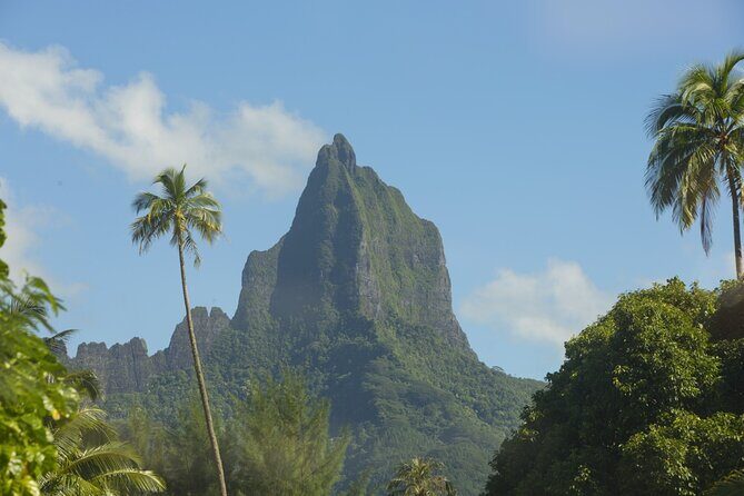 Moorea Highlights Private Tour: Natural and Cultural Attraction - An Introduction to the Tour Experience