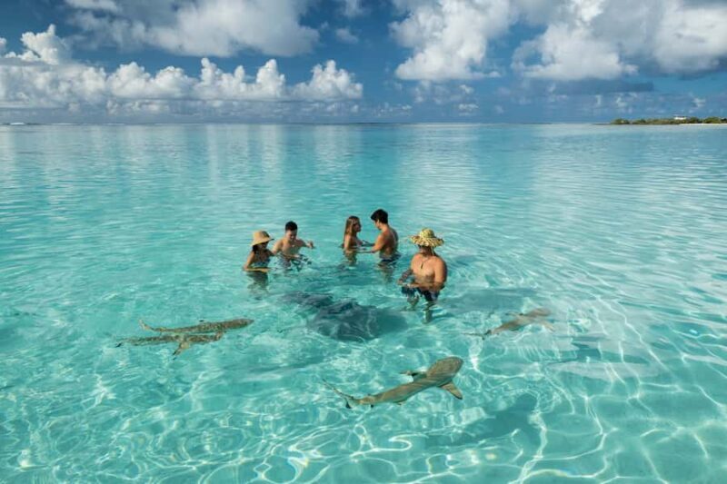 Moorea Highligts: Blue Lagoon Shore Attractions and Lookouts - Final Thoughts