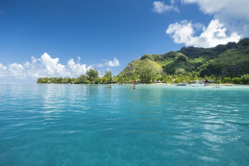 Moorea Highligts: Blue Lagoon Shore Attractions and Lookouts - Learning About Local Flavors and Agriculture