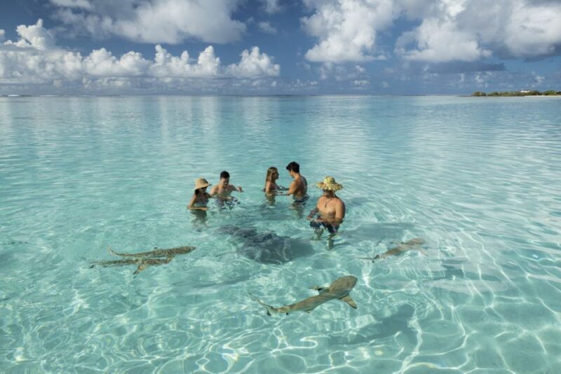 Moorea Highligts: Blue Lagoon Shore Attractions and Lookouts - Exploring the Opunohu Valley and Tropical Gardens
