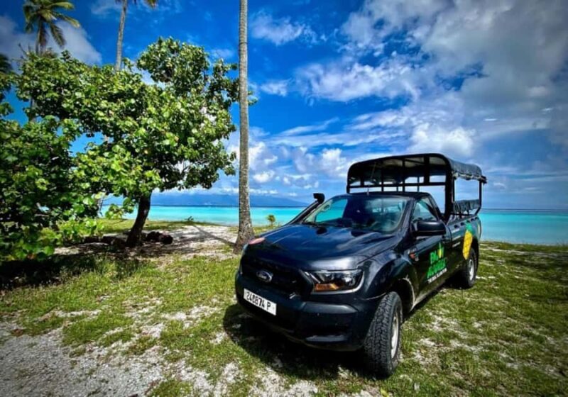 Moorea: Island Tour with Waterfall Hike and Lunch - The Sum Up