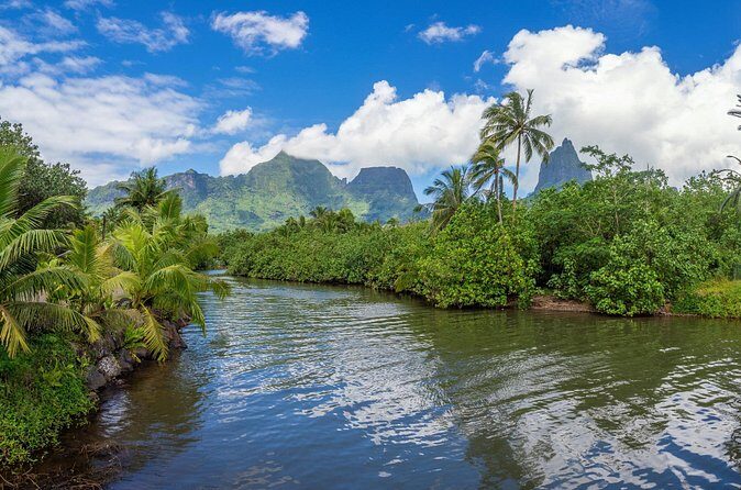 Moorea Nature & Culture Hike Private Shore Tour 4 Hours - FAQ