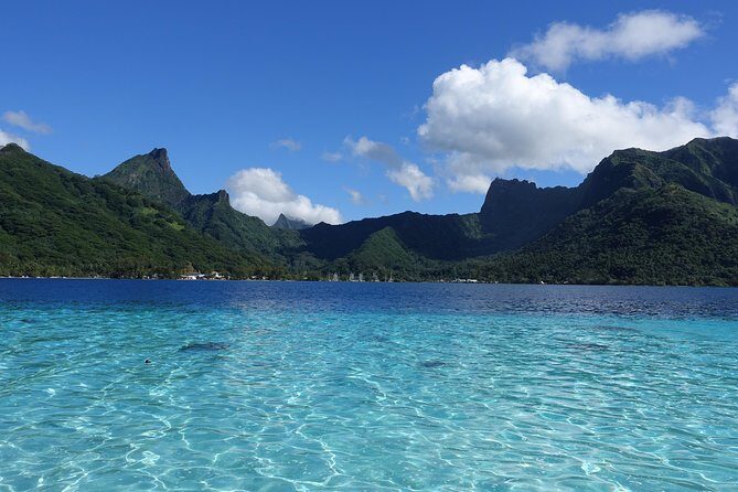 Moorea Private Boat Tour / Sea Scooter Snorkeling Tour - Final Thoughts: Who Is This Tour Best For?