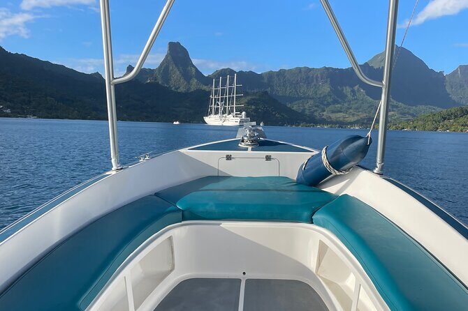 Moorea: Private Snorkeling Tour with Certify Guide - Who Would Love This Tour?