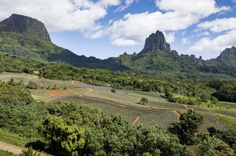 Moorea: Scenic Bus Tour with Guide for Cruise ship passenger - Exploring Moorea on a Scenic Bus Tour