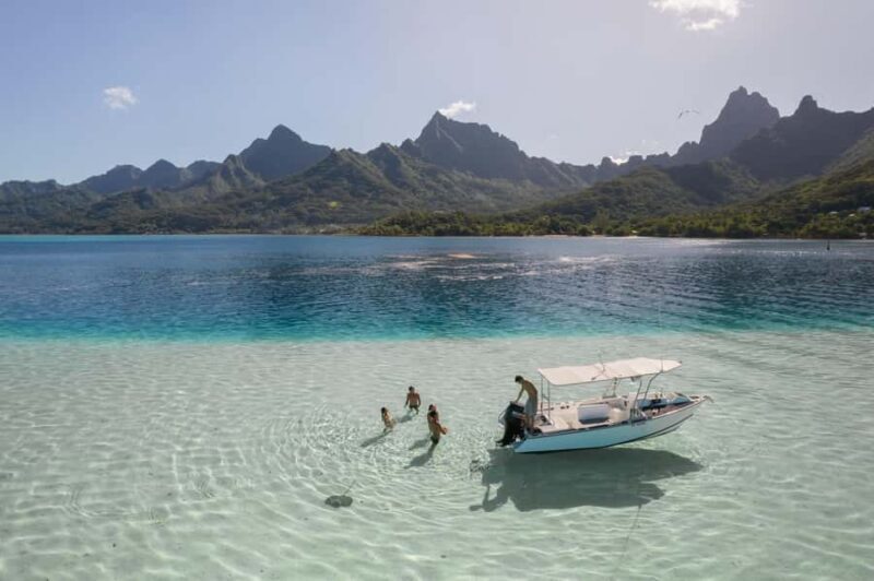 Moorea: Small Group Snorkeling Tour with local guide - The Sum Up