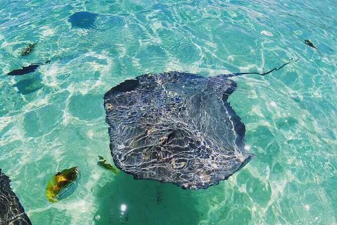 Moorea Solo or Twin 2 hours Jet Ski Tour - FAQ