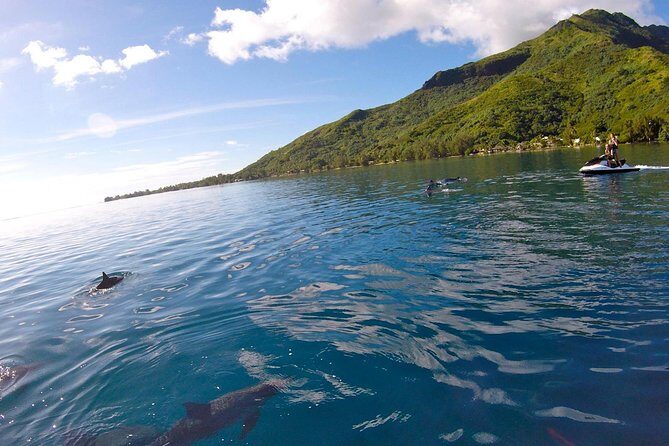Moorea Solo or Twin 3 hours Jet Ski Tour - In The Sum Up