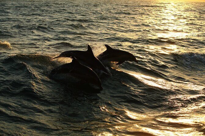 Moorea Sunset Boat Trip - Authenticity and Value