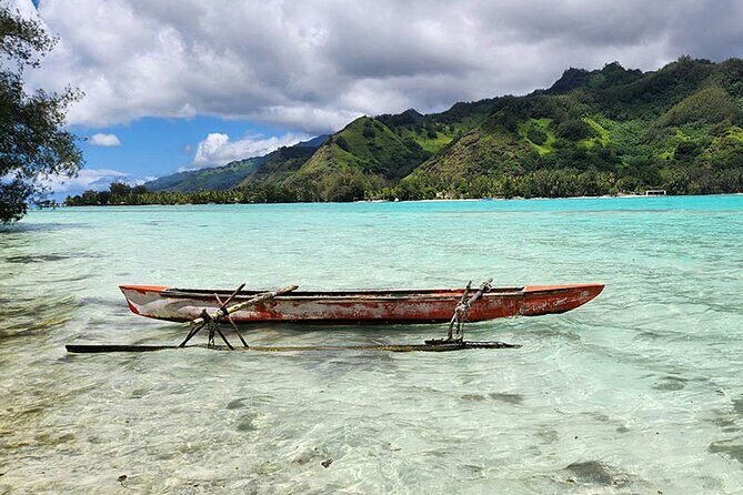 Moorea tour in electric citycoco (in autonomy) - Who Should Consider This Experience?