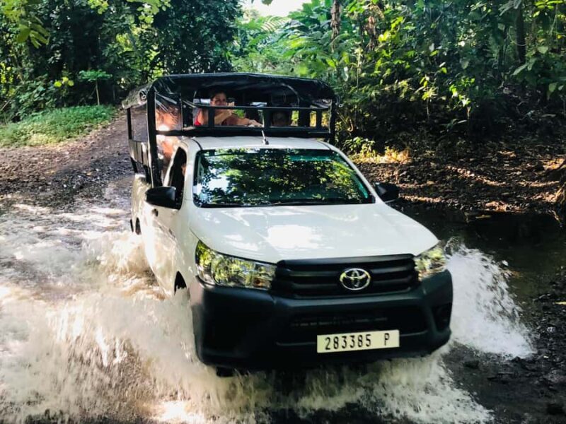 Moorea:4X4 safari excursion between land and sea with lunch - A Deep Dive into Moorea’s 4X4 Safari