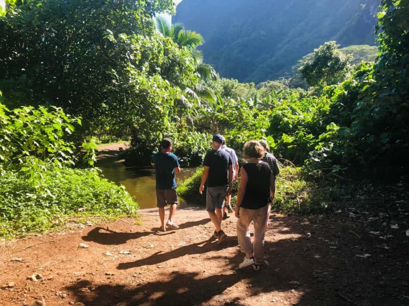 Moorea:4X4 safari excursion between land and sea with lunch - Who Will Love This Tour?