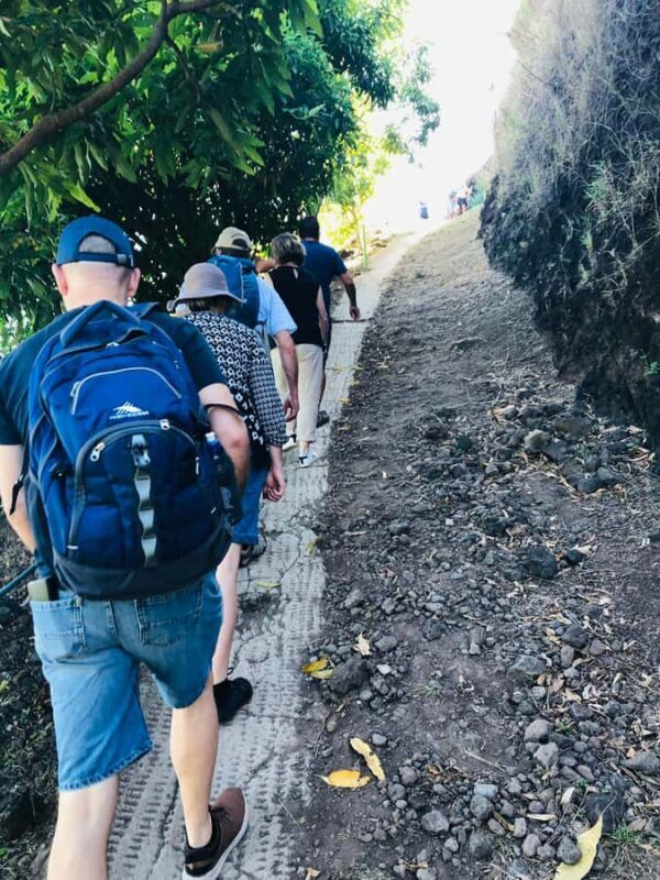 Moorea:4X4 safari excursion between land and sea with lunch - FAQ