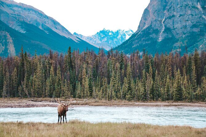 Moraine Lake, Lake Louise & Banff Secrets | Award-Winning Tour - The Sum Up: Who Should Consider This Tour?