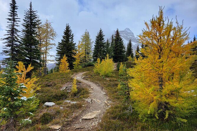 Moraine Lake: Larch Valley Hike, Departure from Banff - Frequently Asked Questions