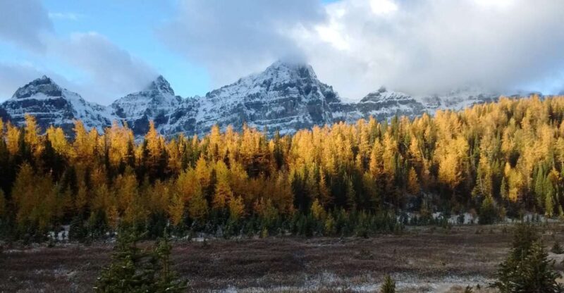 Moraine Lake & Larch Valley Hike - What to Expect During the Hike