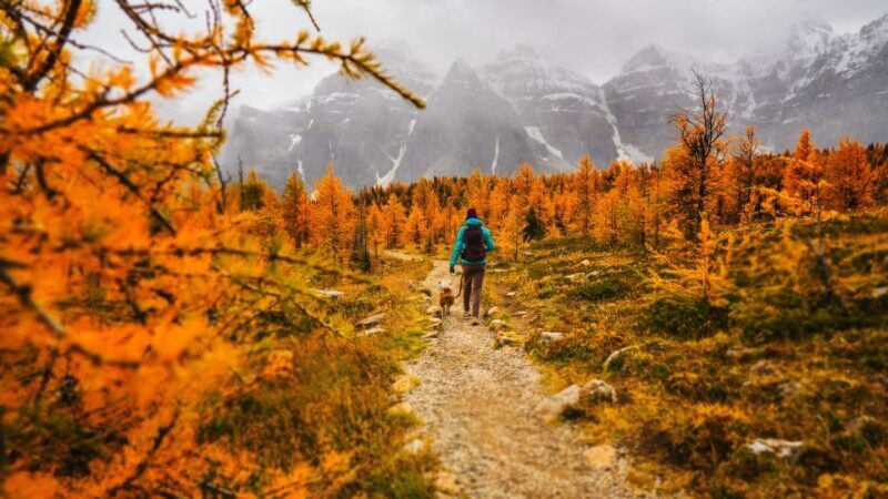 Moraine Lake & Larch Valley Hike - Why This Tour is Worth It
