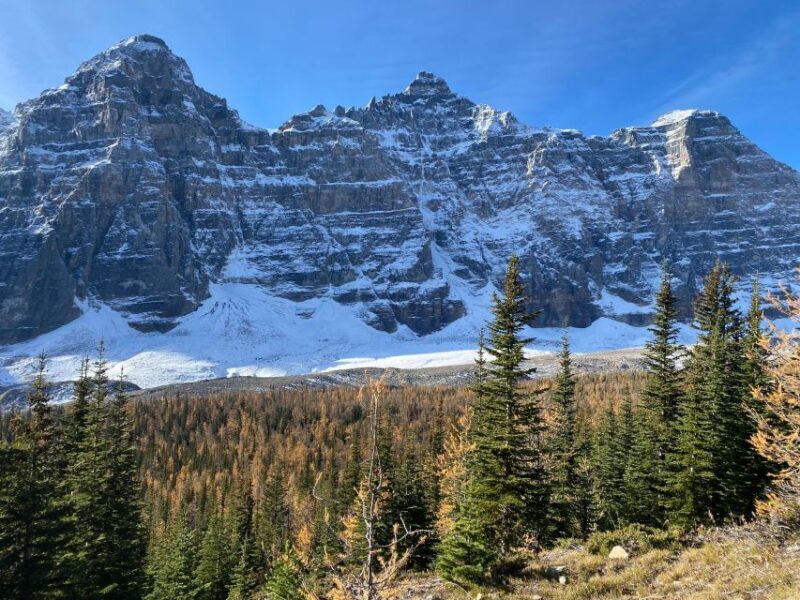 Moraine Lake & Larch Valley Hike - Who Will Love This Experience?