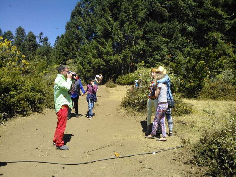 Morelia: Monarch Butterfly Tour - The Itinerary: What To Expect