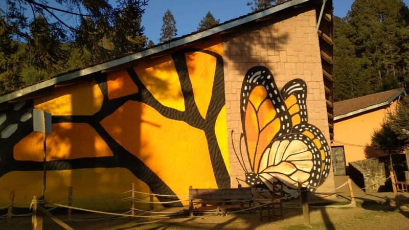Morelia: Monarch Butterfly Tour - Who This Tour Is Best For